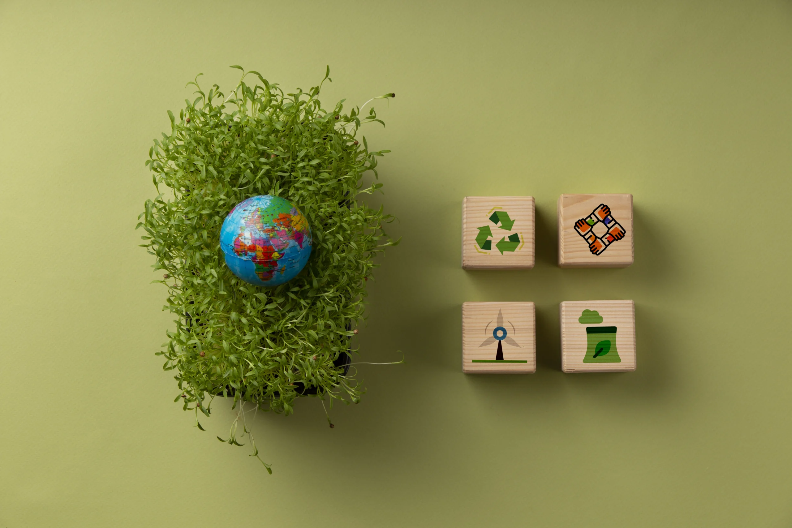 Eco-Friendly vs Green vs Sustainable