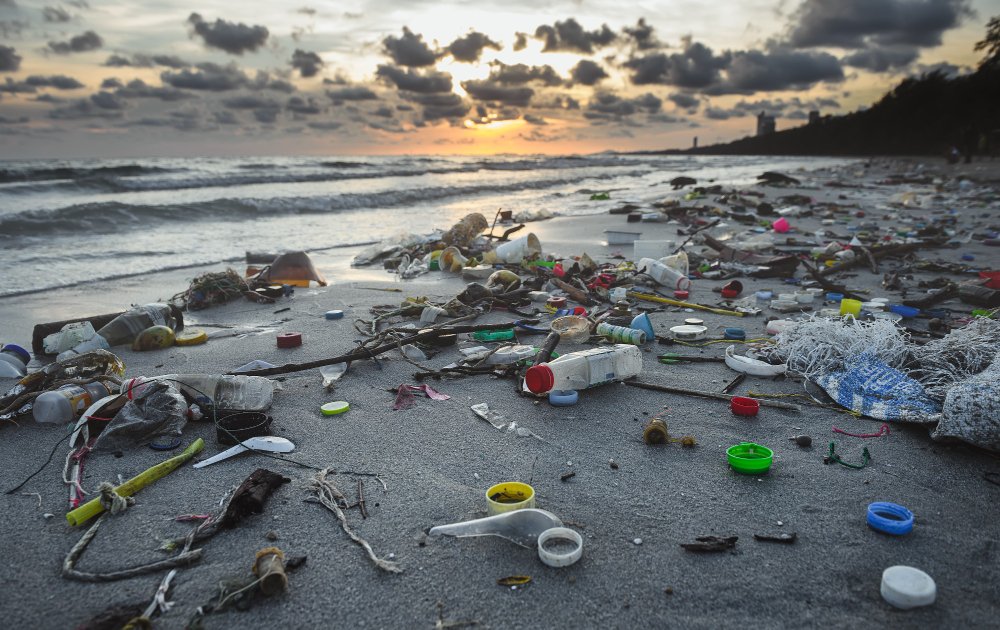 Major Causes of Plastic Pollution