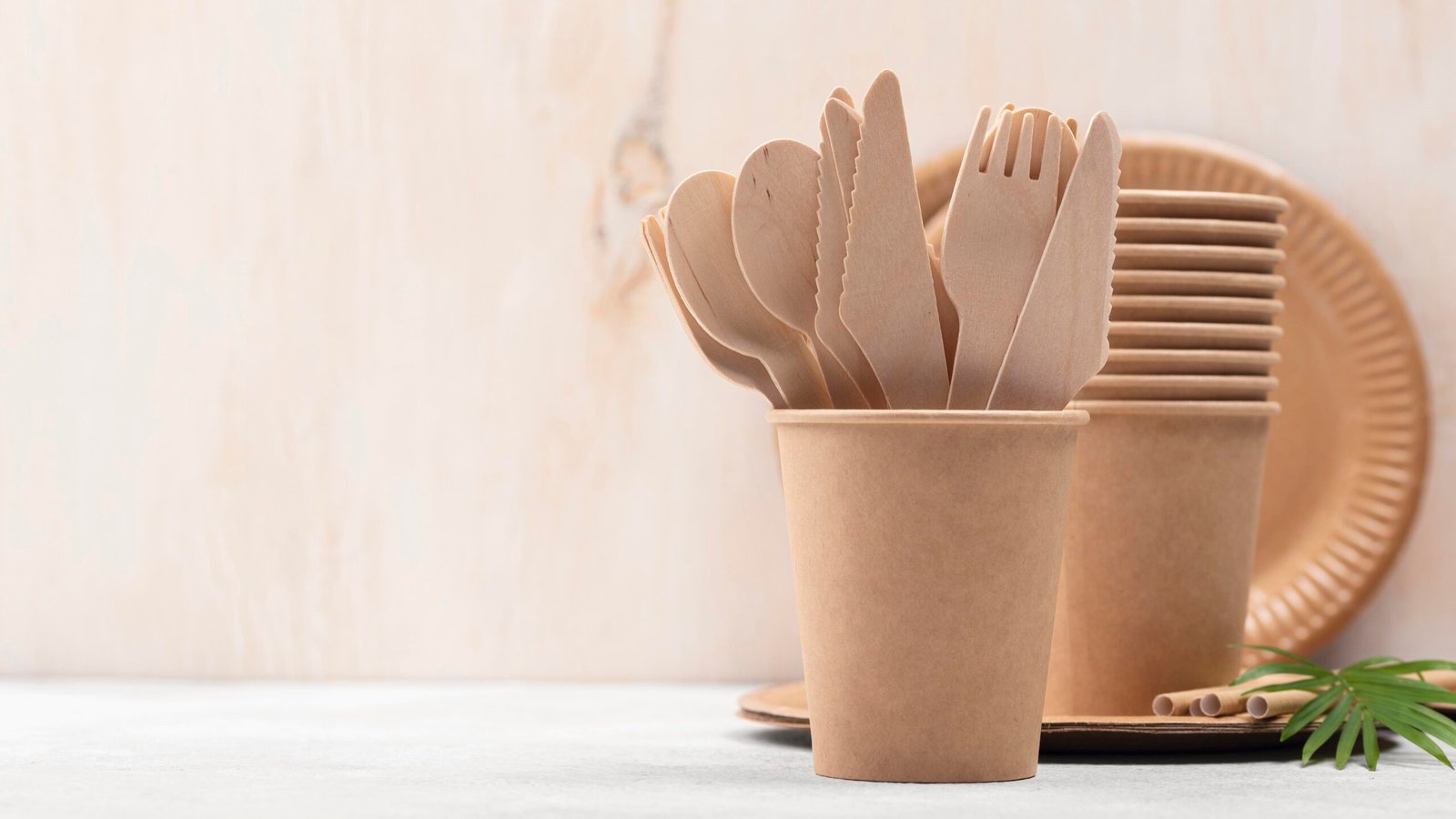The Benefits of Using Bagasse Products for a Sustainable Future